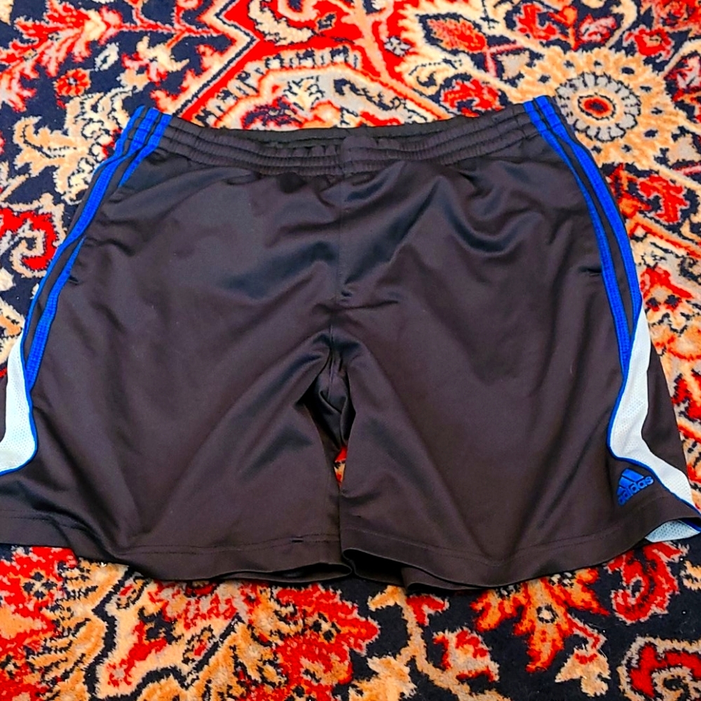 Adidas clima cool shorts